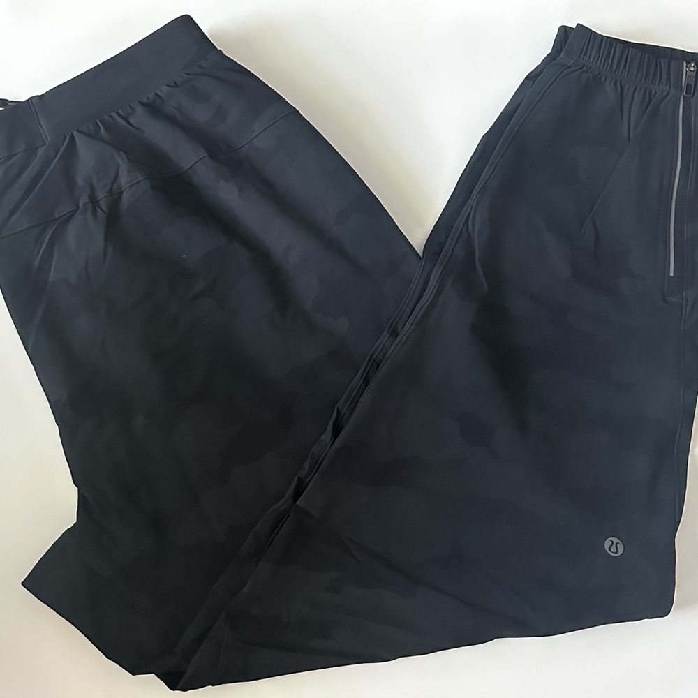 Lululemon Surge Jogger *29"